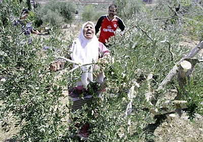 Palestine Burin 082503