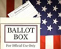 icon ballot box