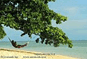 icon vacation beach